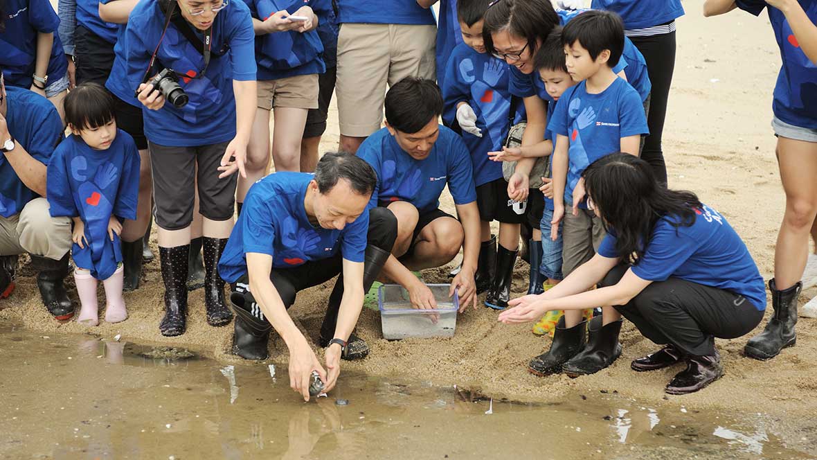 Baby Horseshoe Crab Fostering Programme